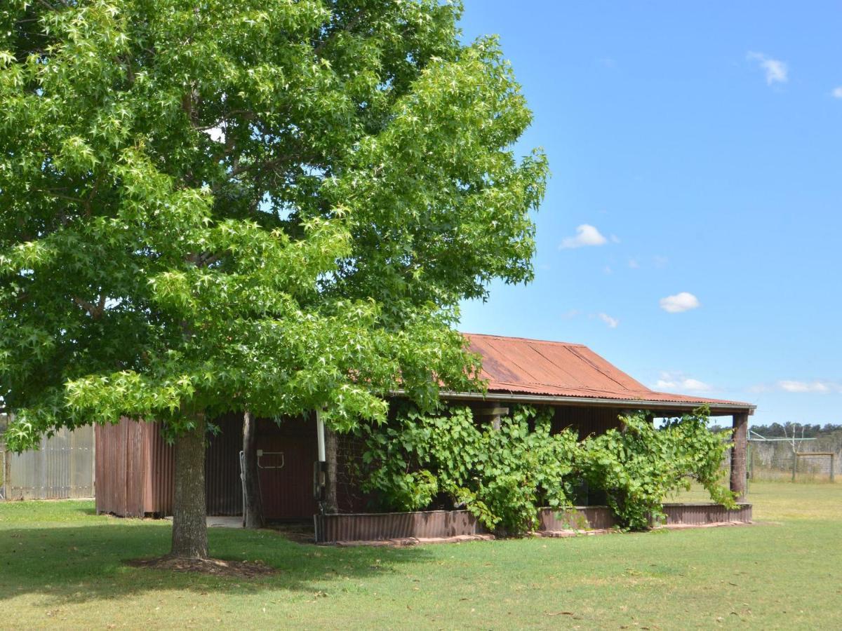 Grasmere Estate Homestead Nulkaba Εξωτερικό φωτογραφία